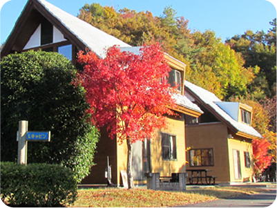 ファミリーキャビン（無印良品タイプ）のサムネイル