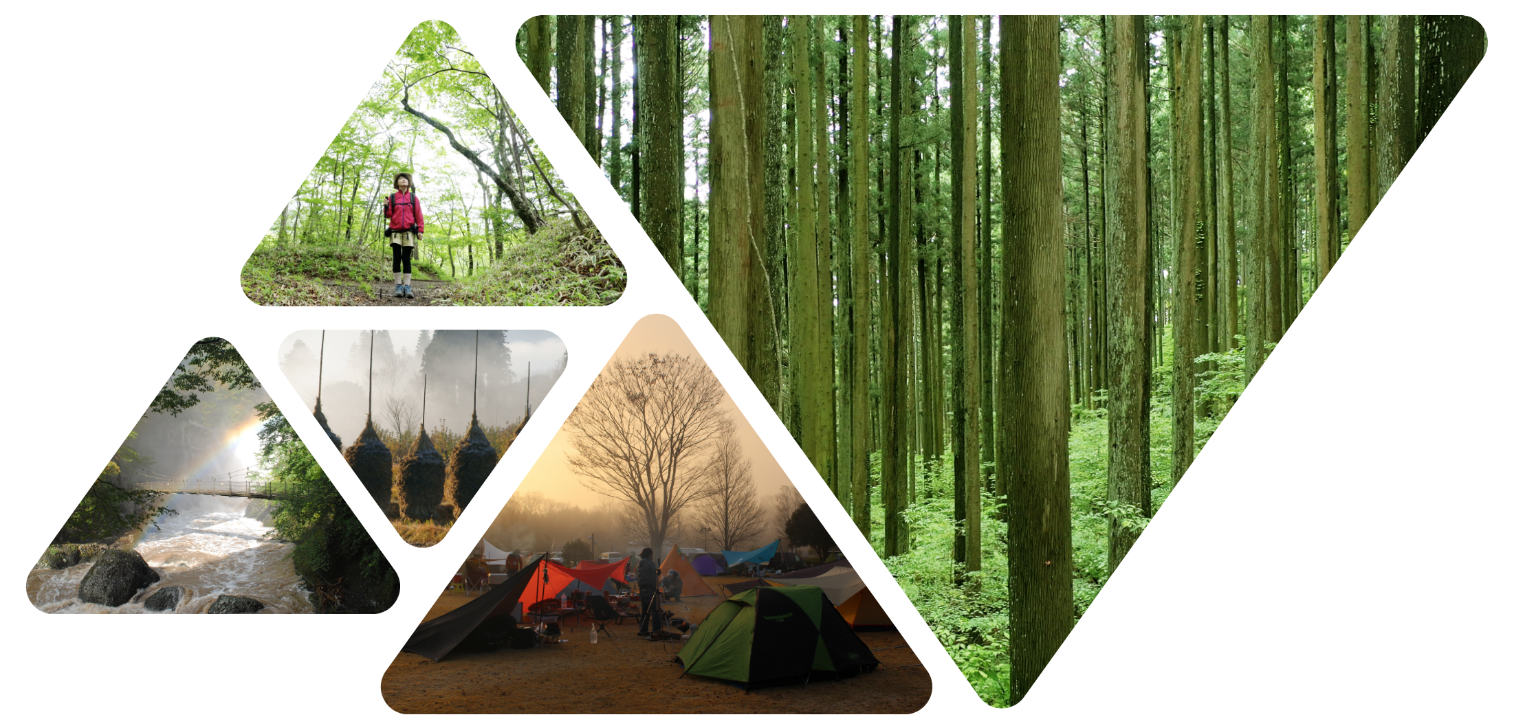 キャンプ風景 竹林コラージュ